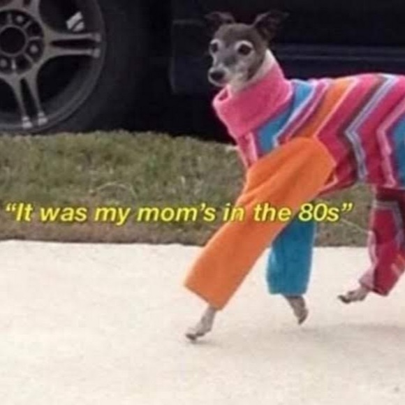 Meet your Posher, Sofia - Picture 1 of 1